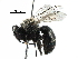  ( - BIOUG25284-H01)  @11 [ ] CreativeCommons - Attribution (2016) CBG Photography Group Centre for Biodiversity Genomics