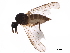  ( - BIOUG26018-B03)  @11 [ ] CreativeCommons - Attribution (2020) CBG Photography Group Centre for Biodiversity Genomics
