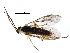  ( - BIOUG26656-D11)  @12 [ ] CreativeCommons - Attribution (2016) CBG Photography Group Centre for Biodiversity Genomics