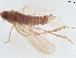  ( - BIOUG36380-E12)  @11 [ ] CreativeCommons - Attribution (2021) CBG Photography Group Centre for Biodiversity Genomics
