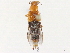  (Nordus - BIOUG38914-B09)  @11 [ ] CreativeCommons - Attribution (2020) CBG Photography Group Centre for Biodiversity Genomics