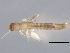  ( - BIOUG02705-A03)  @13 [ ] CreativeCommons - Attribution (2012) Gillian Martin Centre for Biodiversity Genomics