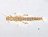  ( - BIOUG02705-F10)  @13 [ ] CreativeCommons - Attribution (2012) Gillian Martin Centre for Biodiversity Genomics