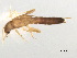  ( - BIOUG02705-G08)  @13 [ ] CreativeCommons - Attribution (2012) Gillian Martin Centre for Biodiversity Genomics