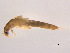  ( - BIOUG02706-A06)  @13 [ ] CreativeCommons - Attribution (2012) Gillian Martin Centre for Biodiversity Genomics