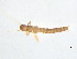  ( - BIOUG02706-B09)  @13 [ ] CreativeCommons - Attribution (2012) Gillian Martin Centre for Biodiversity Genomics