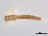  ( - BIOUG02706-C06)  @13 [ ] CreativeCommons - Attribution (2012) Gillian Martin Centre for Biodiversity Genomics