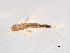  ( - BIOUG02706-G10)  @13 [ ] CreativeCommons - Attribution (2012) Gillian Martin Centre for Biodiversity Genomics