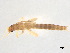  ( - BIOUG02706-H01)  @13 [ ] CreativeCommons - Attribution (2012) Gillian Martin Centre for Biodiversity Genomics