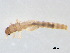  ( - BIOUG02706-H08)  @13 [ ] CreativeCommons - Attribution (2012) Gillian Martin Centre for Biodiversity Genomics