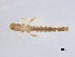 ( - BIOUG02707-A04)  @13 [ ] CreativeCommons - Attribution (2012) Gillian Martin Centre for Biodiversity Genomics