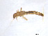  ( - BIOUG02707-B05)  @13 [ ] CreativeCommons - Attribution (2012) Gillian Martin Centre for Biodiversity Genomics