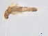  ( - BIOUG02707-B07)  @13 [ ] CreativeCommons - Attribution (2012) Gillian Martin Centre for Biodiversity Genomics