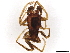  ( - BIOUG39367-B05)  @11 [ ] CreativeCommons - Attribution (2021) CBG Photography Group Centre for Biodiversity Genomics