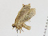  ( - CBG-A13286-B05)  @11 [ ] CreativeCommons - Attribution Share-Alike (2023) CBG Photography Group Centre for Biodiversity Genomics