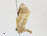  ( - CBG-A16693-B08)  @11 [ ] CreativeCommons - Attribution Share-Alike (2023) CBG Photography Group Centre for Biodiversity Genomics