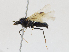  ( - CBG-A16693-C04)  @11 [ ] CreativeCommons - Attribution Share-Alike (2023) CBG Photography Group Centre for Biodiversity Genomics