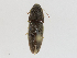  ( - CBG-A16693-D04)  @11 [ ] CreativeCommons - Attribution Share-Alike (2023) CBG Photography Group Centre for Biodiversity Genomics