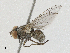  ( - BIOUG91387-A02)  @11 [ ] CreativeCommons - Attribution (2023) CBG Photography Group Centre for Biodiversity Genomics