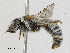  ( - BIOUG91387-D02)  @11 [ ] CreativeCommons - Attribution (2023) CBG Photography Group Centre for Biodiversity Genomics