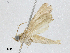  ( - BIOUG91387-E08)  @11 [ ] CreativeCommons - Attribution (2023) CBG Photography Group Centre for Biodiversity Genomics