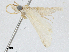  ( - BIOUG91387-E09)  @11 [ ] CreativeCommons - Attribution (2023) CBG Photography Group Centre for Biodiversity Genomics