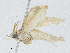  ( - BIOUG91387-F09)  @11 [ ] CreativeCommons - Attribution (2023) CBG Photography Group Centre for Biodiversity Genomics