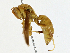 ( - CBG-A00301-C01)  @11 [ ] CreativeCommons - Attribution (2023) CBG Photography Group Centre for Biodiversity Genomics