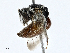  ( - CBG-A00301-C07)  @11 [ ] CreativeCommons - Attribution (2023) CBG Photography Group Centre for Biodiversity Genomics