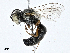 ( - CBG-A00362-E07)  @11 [ ] CreativeCommons - Attribution (2023) CBG Photography Group Centre for Biodiversity Genomics