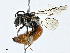  ( - CBG-A00362-F11)  @11 [ ] CreativeCommons - Attribution (2023) CBG Photography Group Centre for Biodiversity Genomics