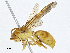  ( - CBG-A01176-C05)  @11 [ ] CreativeCommons - Attribution (2023) CBG Photography Group Centre for Biodiversity Genomics