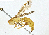  ( - CBG-A01176-H05)  @11 [ ] CreativeCommons - Attribution (2023) CBG Photography Group Centre for Biodiversity Genomics