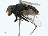  ( - BIOUG98653-C10)  @11 [ ] CreativeCommons - Attribution (2023) CBG Photography Group Centre for Biodiversity Genomics