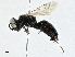  ( - CBG-A00298-G03)  @11 [ ] CreativeCommons - Attribution (2023) CBG Photography Group Centre for Biodiversity Genomics