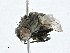  ( - CBG-A00299-B02)  @11 [ ] CreativeCommons - Attribution (2023) CBG Photography Group Centre for Biodiversity Genomics