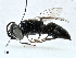  ( - CBG-A01158-G12)  @11 [ ] CreativeCommons - Attribution (2023) CBG Photography Group Centre for Biodiversity Genomics