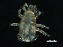  ( - BIOUG39258-G04)  @11 [ ] CreativeCommons - Attribution (2018) CBG Photography Group Centre for Biodiversity Genomics