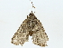  ( - BIOUG89928-C07)  @11 [ ] CreativeCommons - Attribution (2022) CBG Photography Group Centre for Biodiversity Genomics
