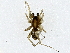  ( - BIOUG91678-F06)  @11 [ ] CreativeCommons - Attribution (2022) CBG Photography Group Centre for Biodiversity Genomics