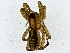  ( - BIOUG91678-F07)  @11 [ ] CreativeCommons - Attribution (2022) CBG Photography Group Centre for Biodiversity Genomics