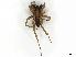  ( - CBG-A44287-H11)  @11 [ ] CreativeCommons - Attribution (2024) CBG Photography Group Centre for Biodiversity Genomics