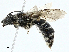  ( - BIOUG98651-B04)  @11 [ ] CreativeCommons - Attribution (2023) CBG Photography Group Centre for Biodiversity Genomics