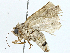  ( - BIOUG98652-A03)  @11 [ ] CreativeCommons - Attribution (2023) CBG Photography Group Centre for Biodiversity Genomics