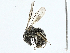  ( - BIOUG98655-B05)  @11 [ ] CreativeCommons - Attribution (2023) CBG Photography Group Centre for Biodiversity Genomics