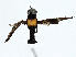  ( - BIOUG98655-F05)  @11 [ ] CreativeCommons - Attribution (2023) CBG Photography Group Centre for Biodiversity Genomics