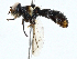  ( - BIOUG99541-C04)  @11 [ ] CreativeCommons - Attribution (2023) CBG Photography Group Centre for Biodiversity Genomics