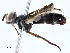  ( - BIOUG99541-C06)  @11 [ ] CreativeCommons - Attribution (2023) CBG Photography Group Centre for Biodiversity Genomics