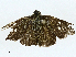  ( - BIOUG99541-E08)  @11 [ ] CreativeCommons - Attribution (2023) CBG Photography Group Centre for Biodiversity Genomics