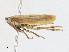  ( - CBG-A16720-A03)  @11 [ ] CreativeCommons - Attribution Share - Alike (2023) CBG Photography Group Centre for Biodiversity Genomics